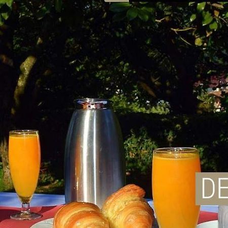 Hotel Senorio De Ursua Arizcun エクステリア 写真